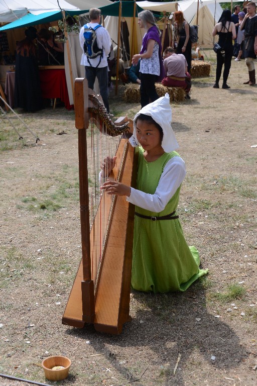 ../Images/Zaterdag Castlefest 2015 028.jpg